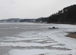 ‘국립해양생태공원’ 최초 도입, 개발과 보전 사이 절충안 기대