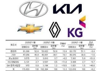"코세페도 못 살렸다"…완성차 11월 판매 두 달째 하락(종합)