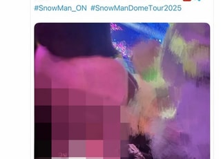 인기 아이돌 콘서트서 전라로 응원봉 흔든 女관객