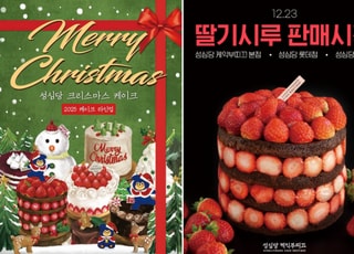 "올해도 성심당 딸기시루 2.3kg 도전!"...구매대행은?