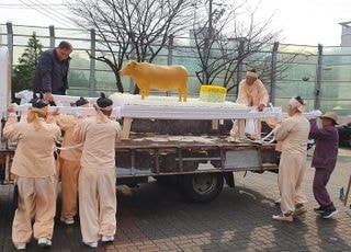 홍수때 북에서 떠내려 온 ‘평화의 소’…북녘 보이는 애기봉에 안치