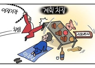 추경호 구속영장 기각… 與 '국힘 내란정당 해산 몰이' 제동 [D-시사만평]