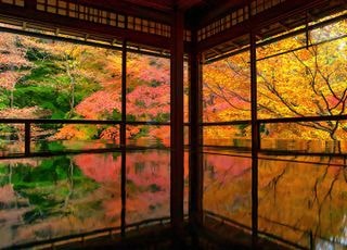 세계 최고라는 교토 단풍을 보고 나서