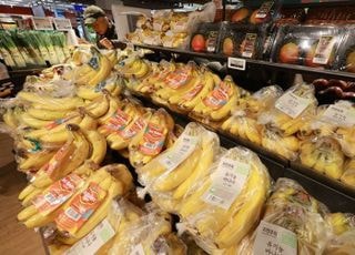 정치의 격랑 속에서 사라진 '민생'