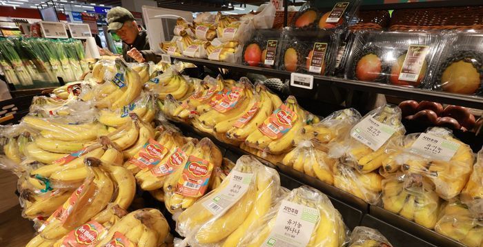 정치의 격랑 속에서 사라진 '민생'