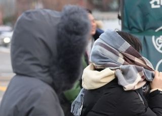 서울시, 퇴근길 1~5㎝ 첫눈 예보에 강설대응 1단계 발령