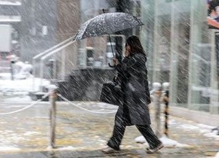 서울에 '첫눈' 내렸다...평년보다 2주 늦어