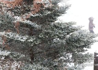 서울 아침 '최저 -6도' 강추위 계속...출근길 도로 살얼음 '주의' 대처법은? [오늘 날씨]