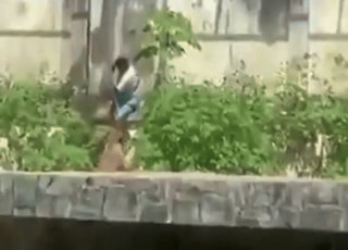 [영상] 6m 담장 넘더니 사자에 끌려간 10대男, 결국 사망