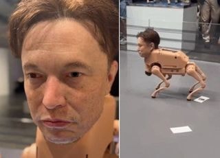 [영상] "악! 이게 뭐야"...일론 머스크 얼굴한 로봇개 '깜짝'