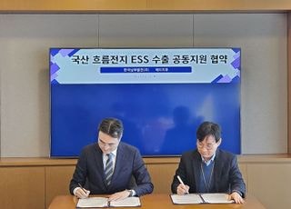 남부발전, 국산 바나듐 흐름전지로 해외 진출 추진