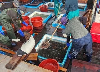 해수부, 내년 선원 최저임금 월 269만4560원 결정