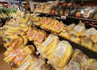 식품물가 5년새 27% 상승…수급 불안정에 고환율로 ‘출렁’