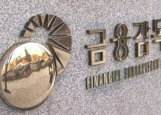 서학개미 우회 압박?…금감원, 해외투자 영업실태 점검