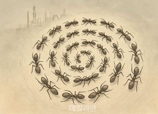 "앤트밀에 갇힌 석유화학"…빠진 것은 '나침반' [기자수첩-산업]