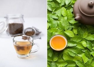 "물 대신 마시던 '이 茶', 오히려 몸 해친다"