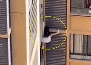 [영상] "마누라 왔어. 빨리 숨어" 고층 난간에 매달린 女