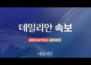 [속보] 11월 취업자 2904만6000명…22만5000명↑