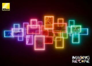 니콘, RED와 공동개발한 시네마틱 프리셋 9종 공개