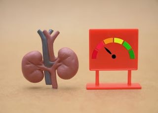 혈압 관리할수록 신장 지킨다…만성신장병 환자, 고혈압이면 악화 위험 1.82배