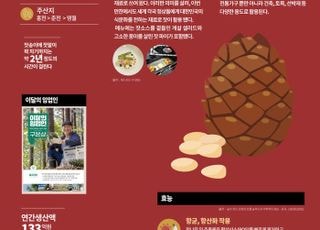 산림청, 12월 이달의 임산물 ‘국산 잣’ 선정
