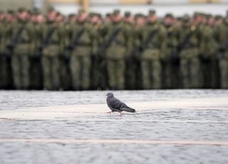 '비둘기' 파월 향한 환호는 잠깐?…"실적에 주목하라"