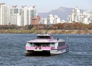 한강버스, 행안부 점검서 규정위반·관리미흡·권고 등 120건 적발