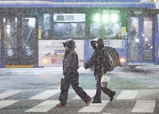 "주말까지 눈 쏟아진다"...서울 최대 5cm?