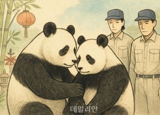 中日 갈등 영향?...쌍둥이 판다, 내년 1월말 중국으로