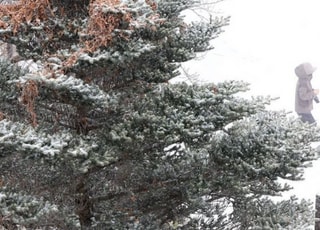 [내일날씨] 한파 누그러지지만…중부지역 비 또는 눈