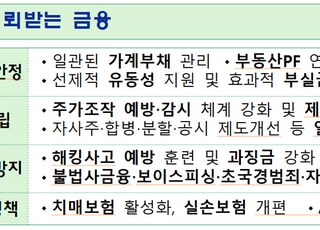 "주담대 강화, 일관된 기조로"…소비자보호 체계도 마련