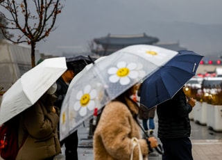 [내일날씨] 토요일 전국에 산발적 비…낮에는 포근