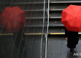 '낮 최고 19도' 비 온 뒤 기온 뚝…제철 맞은 겨울 딸기, 건강 효능은? [오늘 날씨]