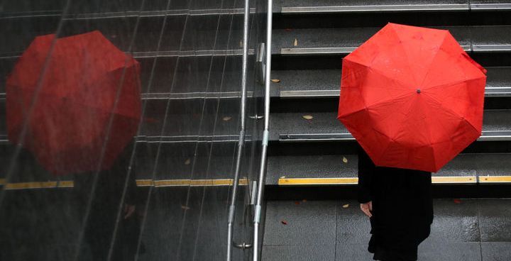 '낮 최고 19도' 비 온 뒤 기온 뚝…제철 맞은 겨울 딸기, 건강 효능은? [오늘 날씨]