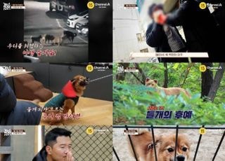 ‘개늑시2’, 간담 서늘한 들개들 등장…1월 7일 첫방