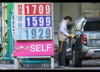 정부, 유류세 인하 2개월 연장…자동차 개별소비세 인하 6개월 연장