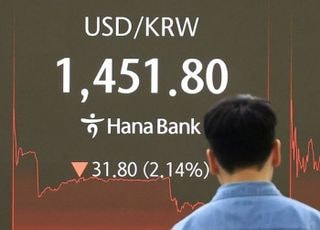 환율 30원 급락에도 신중론…"구두개입 효과 일시적일 것"