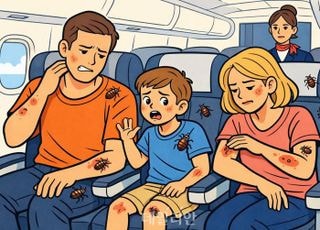 "빈대 물렸다" 항공사에 3억 소송 건 가족