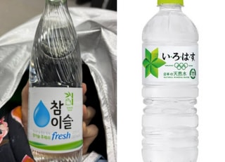 "물맛 왜이래"...'이거' 먹고 깜짝 놀란 日 관광객