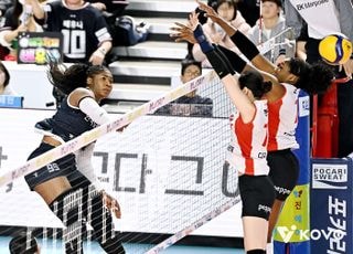 ‘높아진 네트 높이’ 배구협회, 유소년 배구 경기규칙 국제기준 적용