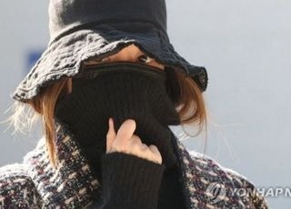 '마약 수사선상 오르자 해외 도피' 황하나 구속…法 "증거 인멸 우려"