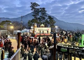 서울 산·공원서 새해 해돋이 본다…'해맞이 명소' 16곳 공개