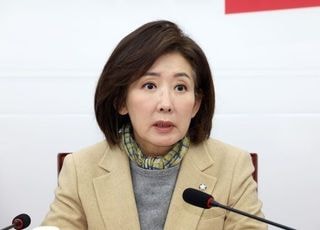 "장수들은 피 마르는데, 후방에선 훈수만"…나경원, '내부 총질' 세력 직격