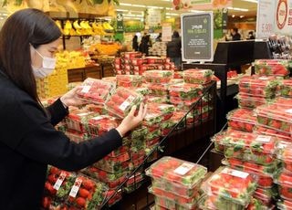 이마트, 새해 맞이 대규모 할인 행사…먹거리·생활용품·가전제품 총출동