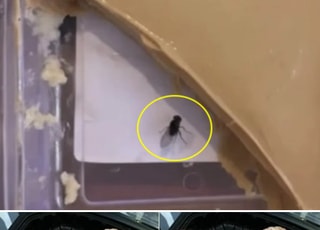 "사진보고 속아 환불"...배달앱 OO 사기 수법 경악