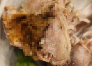"인천 유명 삼계탕집서 닭똥 먹어…사과도 못 받았다"