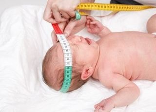 대두가 이득?..."머리 크면 OO 걸릴 위험 4배 ↓"