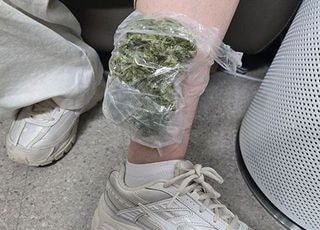‘꿀꺽’ 필로폰 1㎏ 삼켜 韓 왔다…기상천외 밀반입 수법 ‘들통’’