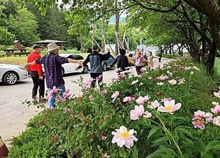 [7월 1일(수) 오늘, 서울시] 폐업 소상공인 마음 건강 회복…치유농업 프로그램 운영