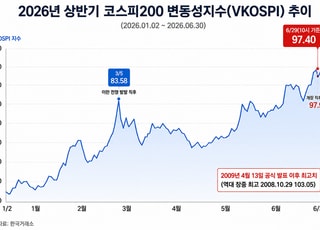상반기 역대급 변동성지수…개미 울린 증시 불안